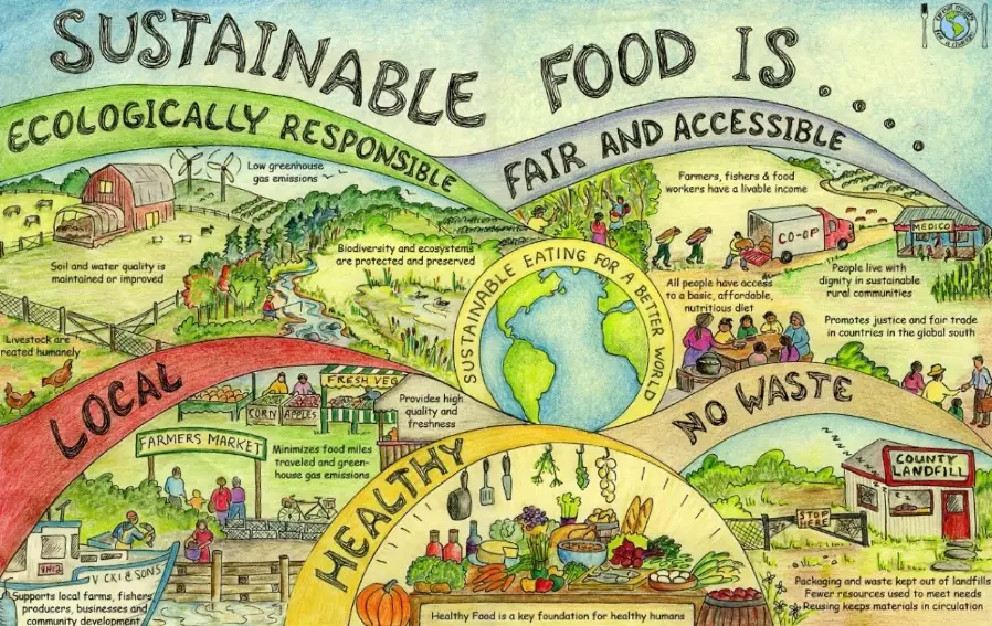 plant-based diet benefits