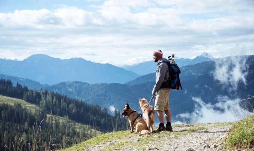 Dog hiking gear