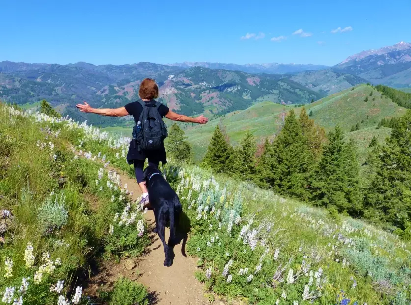 Hiking with dogs